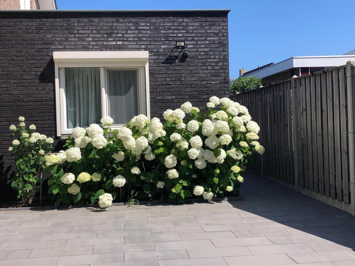 Zoutelande Koddelaan Vakantiewoning Esterno foto