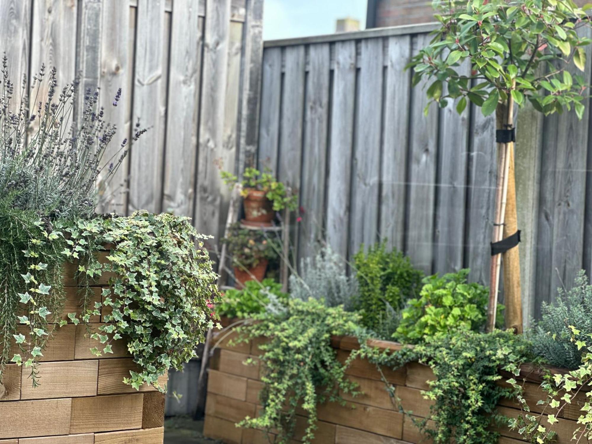 Zoutelande Koddelaan Vakantiewoning Esterno foto